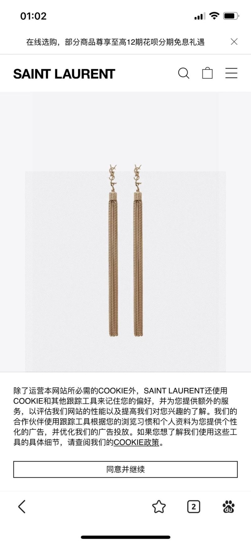 Ysl Earrings